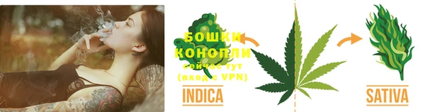 сатива Навашино