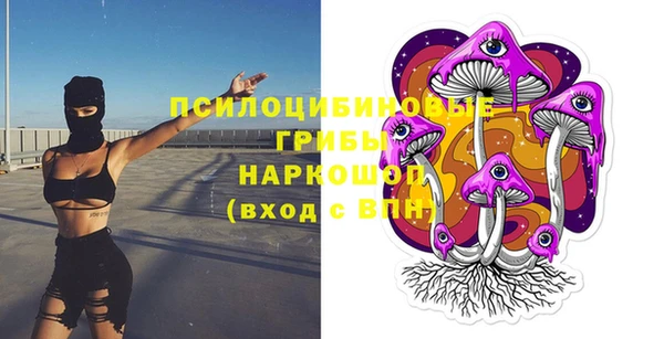 PSILOCYBIN Нея