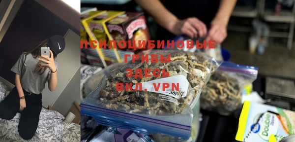 СК Нефтекумск